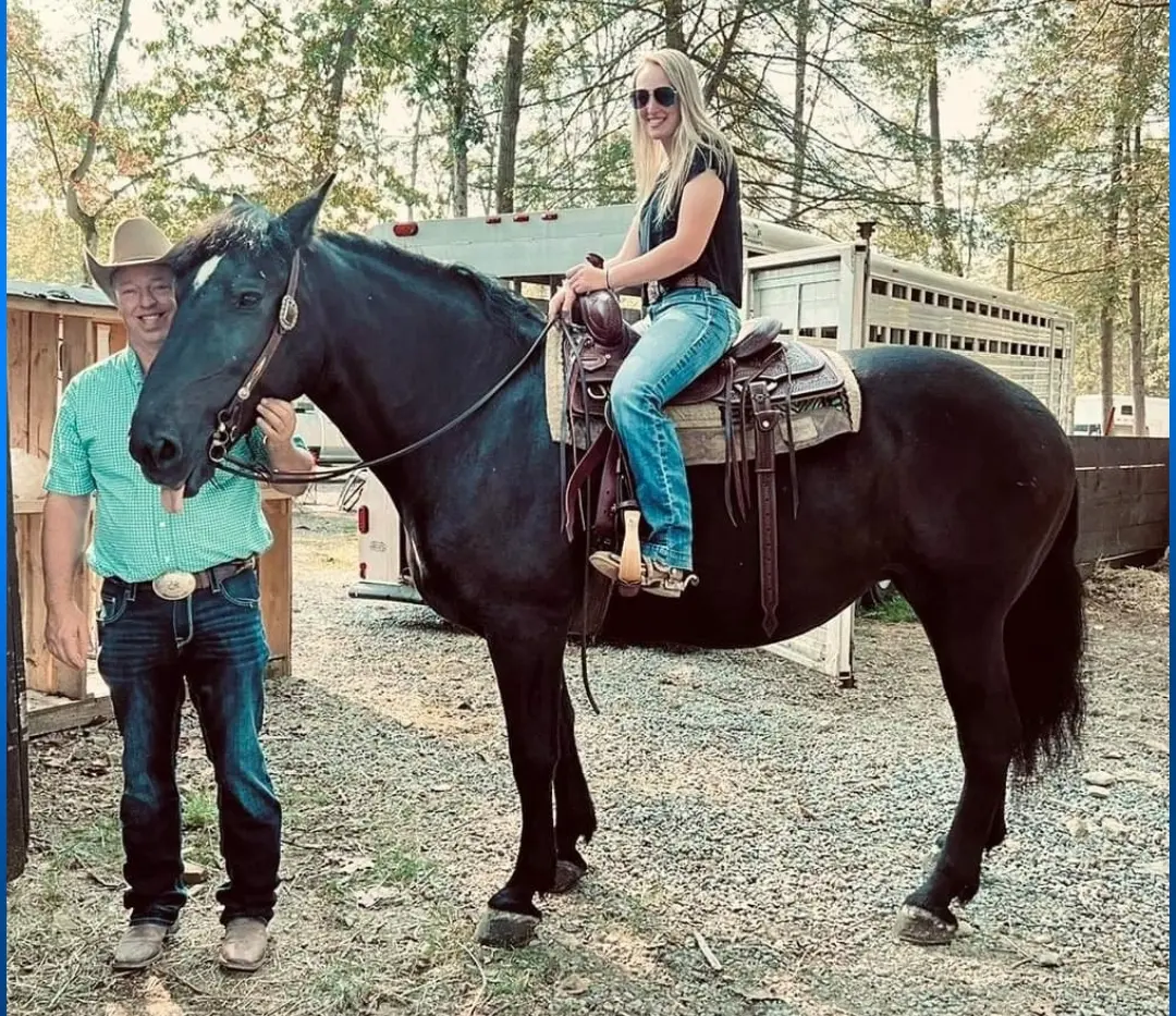 A Woman Sitting on Top of a Black Color Horse